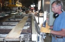 Cutting - VUITTON Sawmill